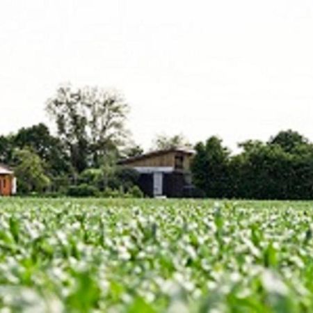 דירות Hofheim in Unterfranken Demeterhof Duenninger מראה חיצוני תמונה